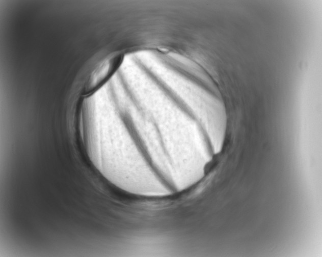 X0000088700103200706211952