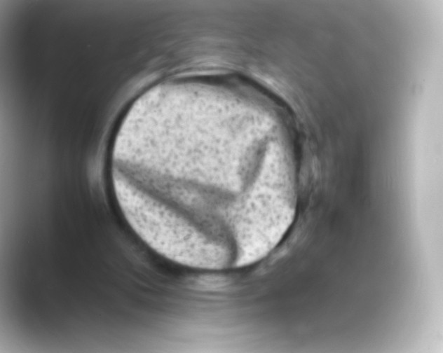 X0000088700104200706211952