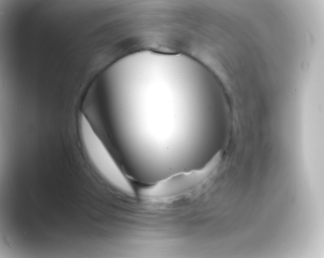 X0000088700105200706211952