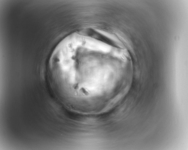 X0000088700107200706211952