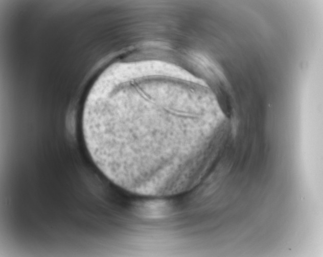 X0000088700108200706211952