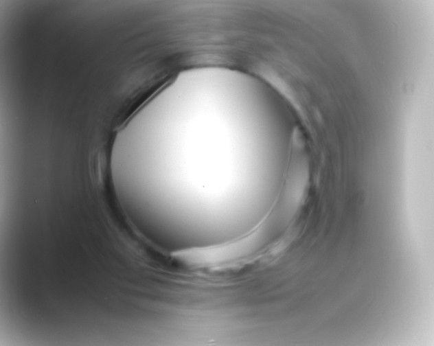 X0000088700109200706211952