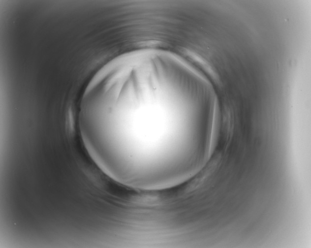 X0000088700110200706211952