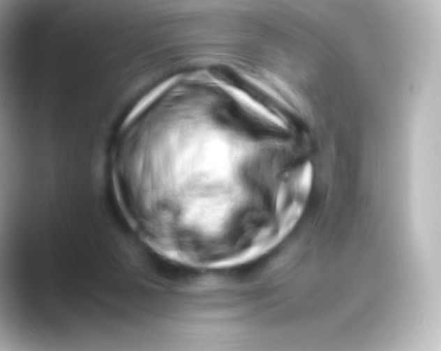 X0000088700111200706211952