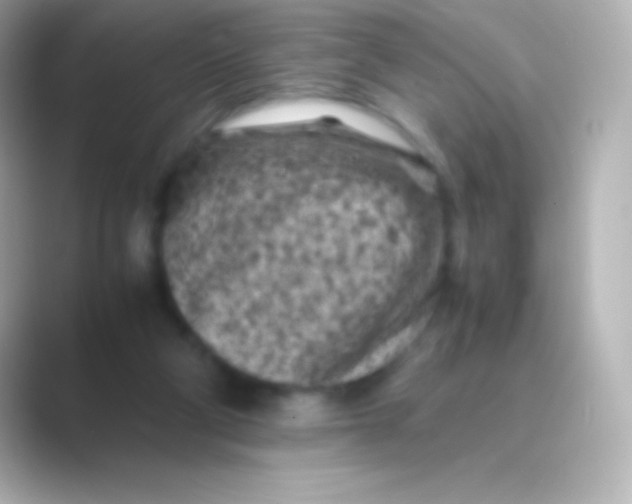 X0000088700114200706211952