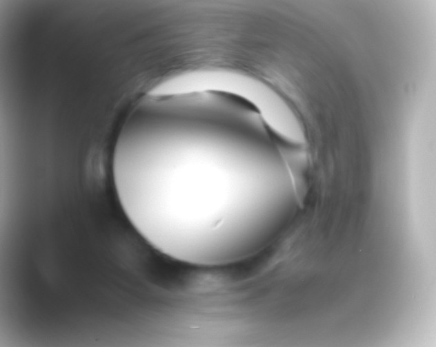 X0000088700115200706211952