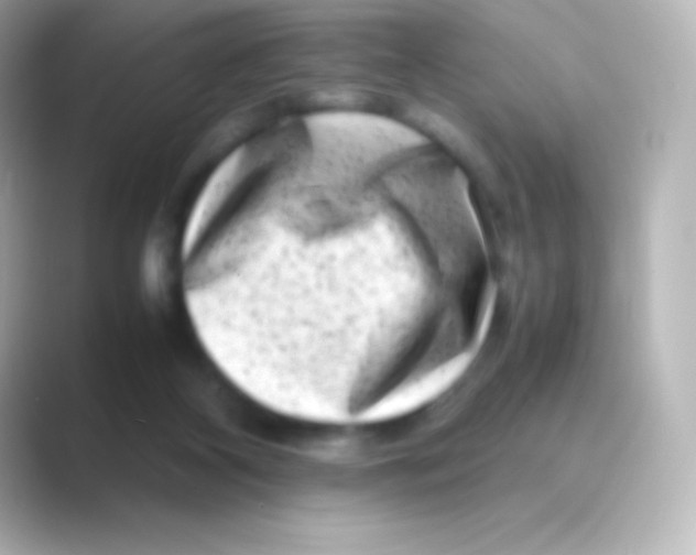 X0000088700116200706211952