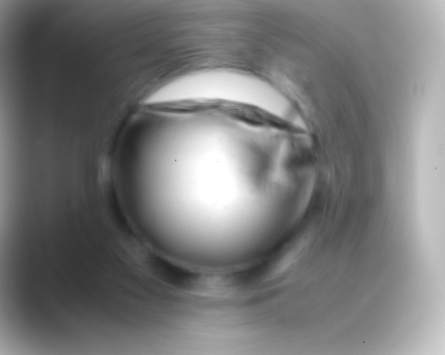 X0000088700117200706211952