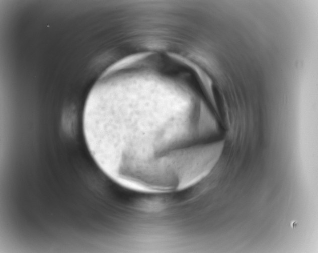 X0000088700120200706211952