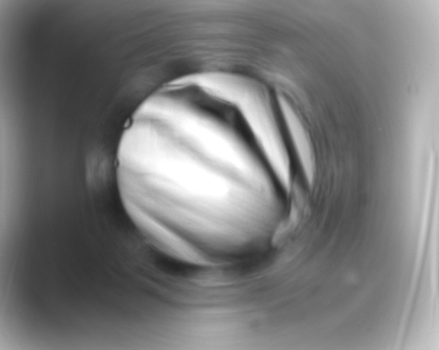 X0000088700123200706211951