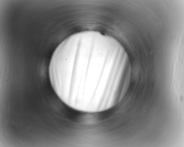 X0000088700126200706211951