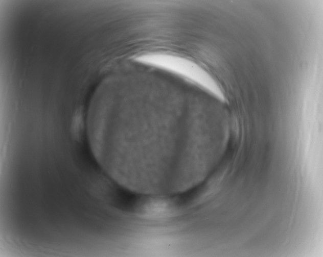 X0000088700127200706211951