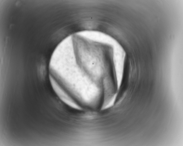 X0000088700128200706211951