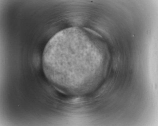 X0000088700130200706211951