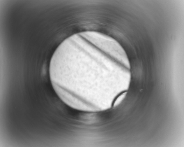 X0000088700132200706211951