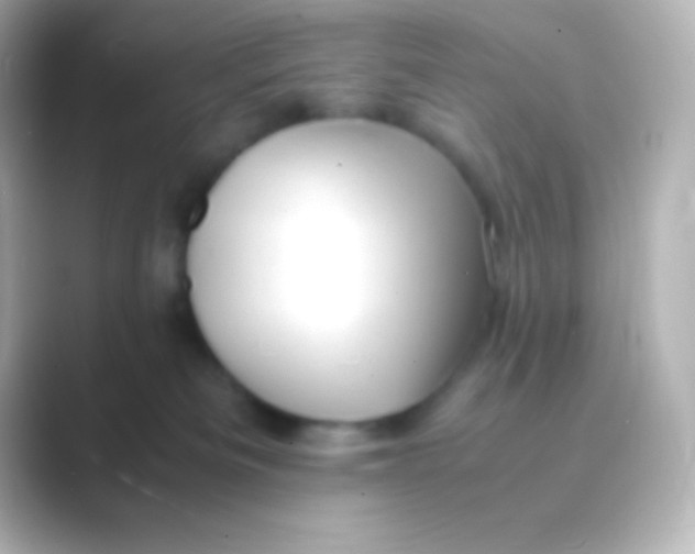 X0000088700133200706211951