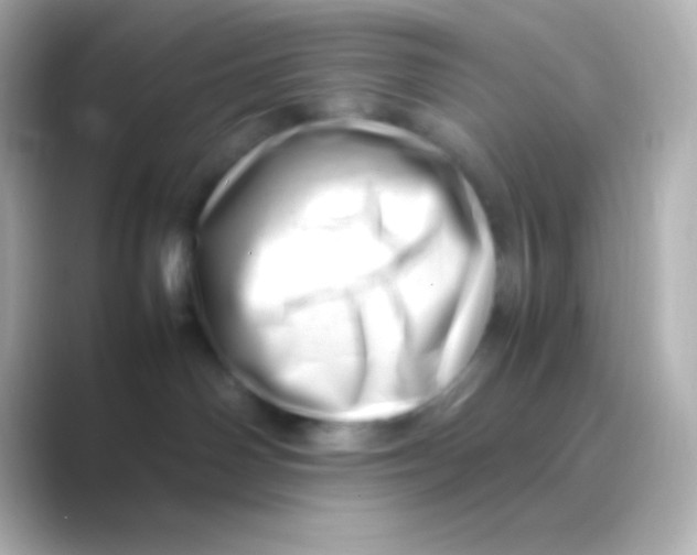 X0000088700142200706211951