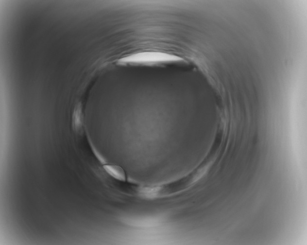 X0000088700143200706211951