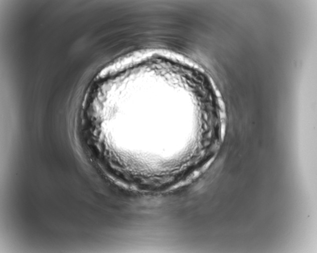 X0000088700145200706211951