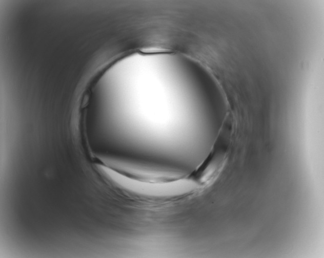 X0000088700150200706211951