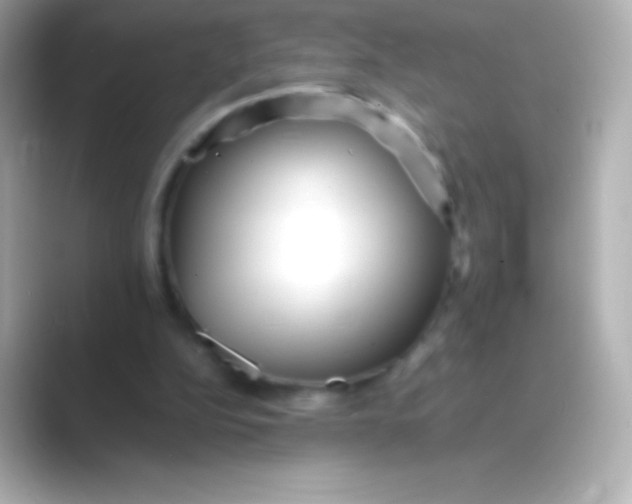 X0000088700152200706211951