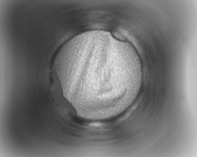 X0000088700153200706211951