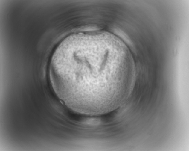 X0000088700155200706211951