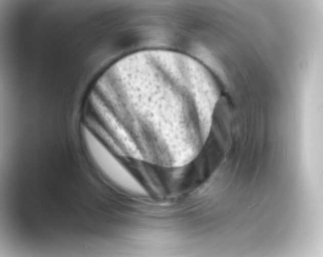 X0000088700156200706211951