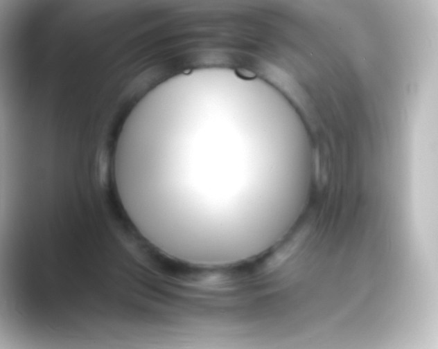 X0000088700157200706211951