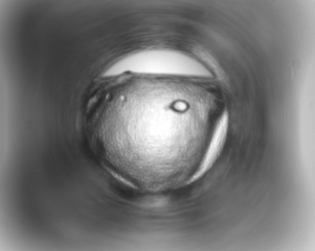 X0000088700161200706211951