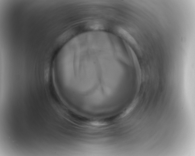 X0000088700163200706211951