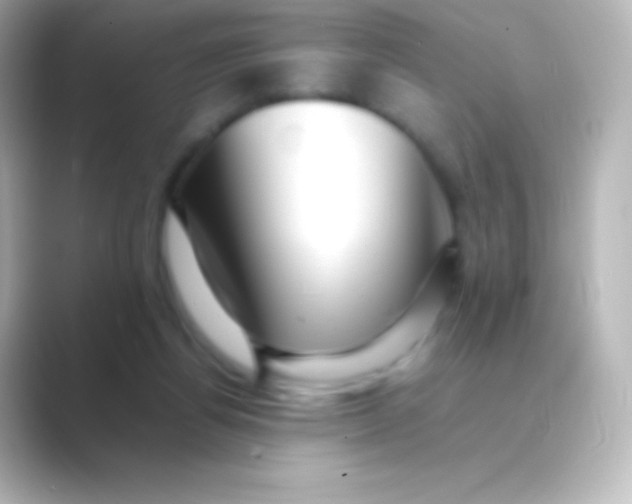 X0000088700164200706211951