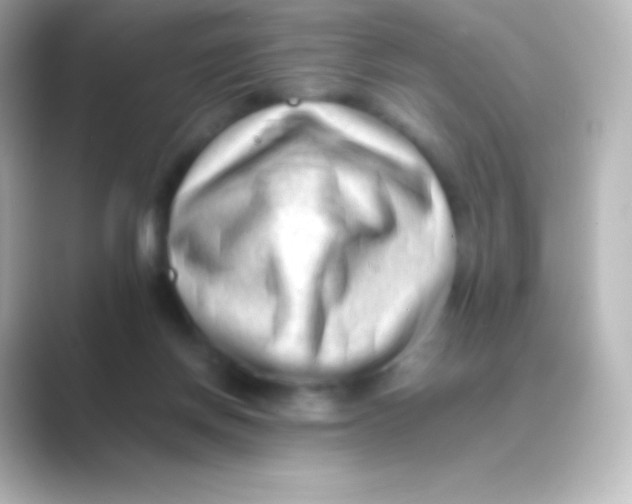 X0000088700166200706211951