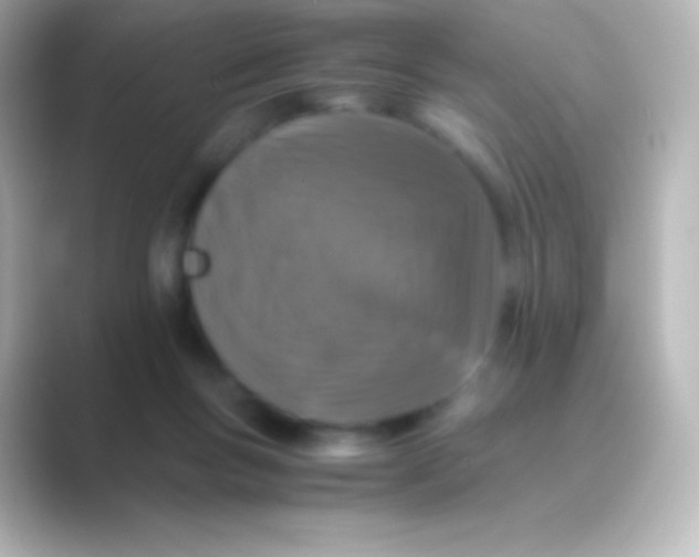 X0000088700167200706211951