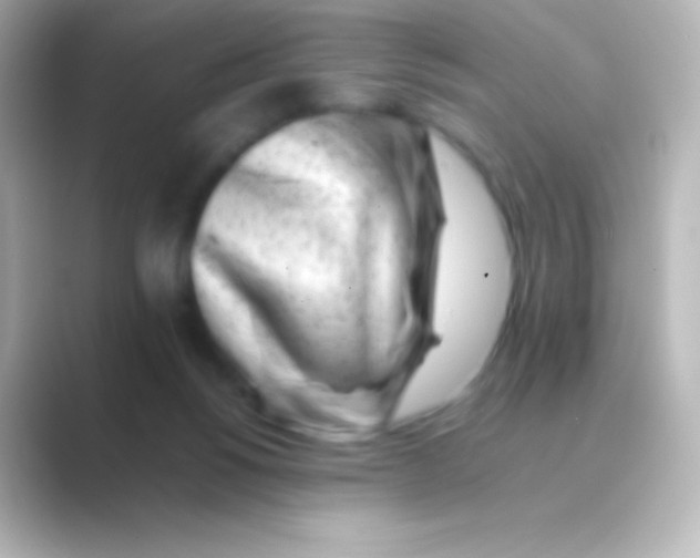 X0000088700168200706211951