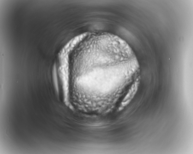 X0000088700169200706211951