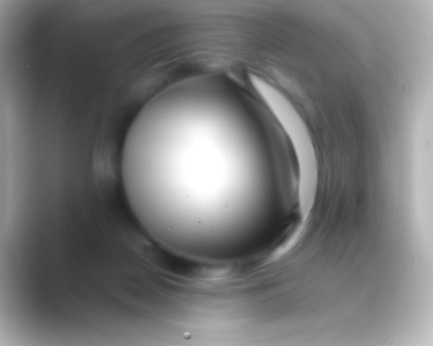 X0000088700170200706211951