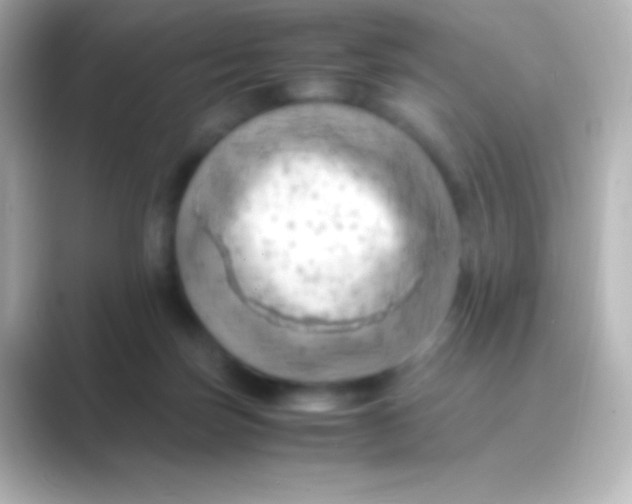 X0000088700171200706211951