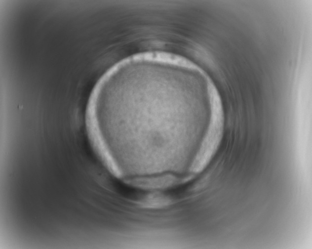 X0000088700173200706211951