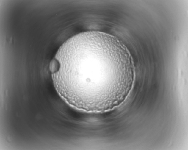 X0000088700175200706211951