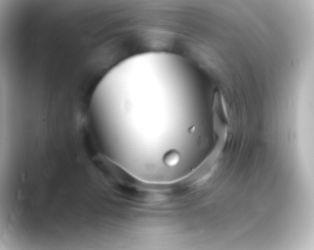 X0000088700176200706211951