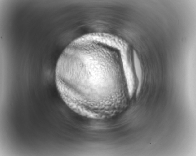 X0000088700177200706211951