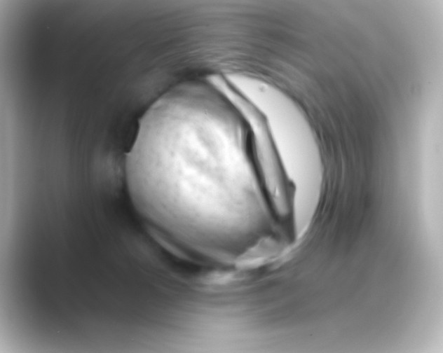 X0000088700180200706211951