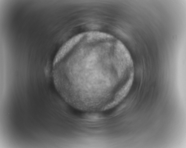 X0000088700181200706211951