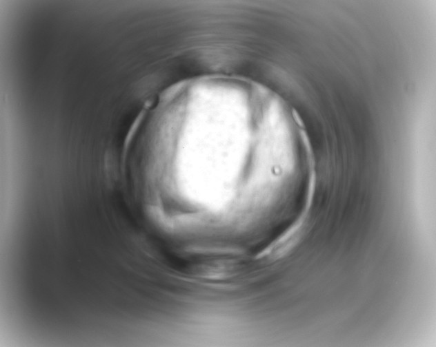 X0000088700182200706211951