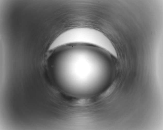 X0000088700184200706211951