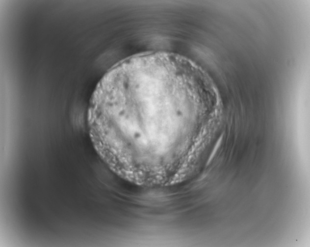 X0000088700185200706211951