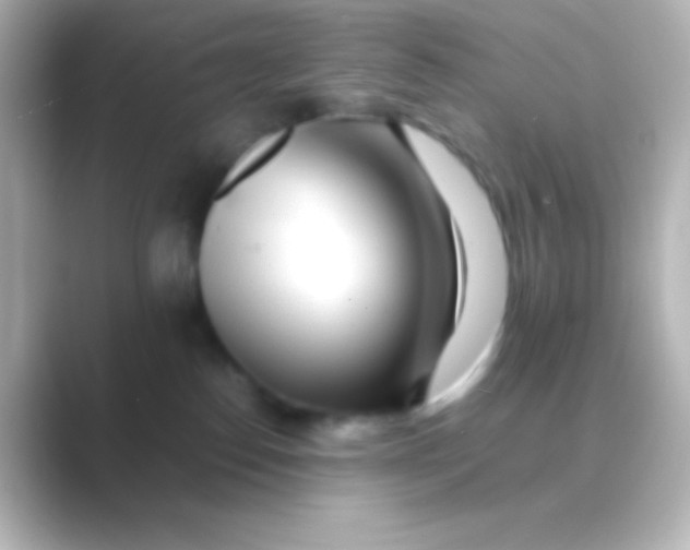 X0000088700186200706211951