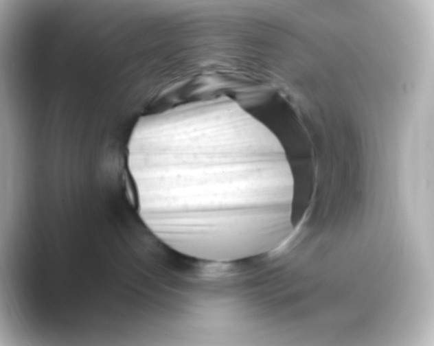 X0000088700192200706211951