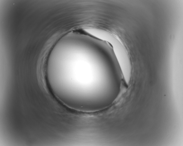 X0000088700193200706211951